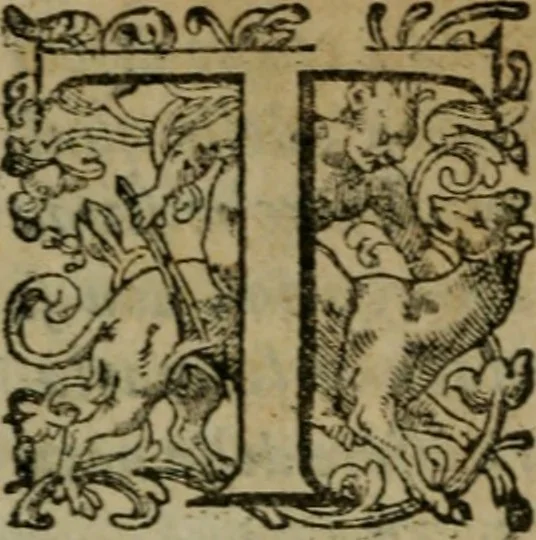 An illustration from I capitani. Con alcuni discorsi curiosi, 1607, leaf 243