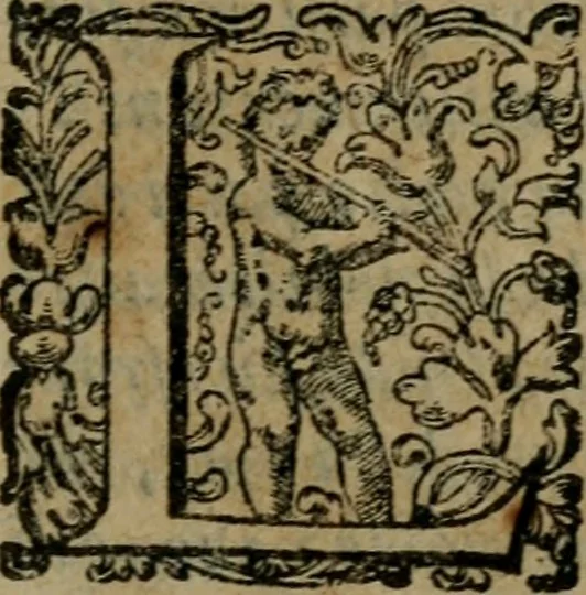 An illustration from I capitani. Con alcuni discorsi curiosi, 1607, leaf 258