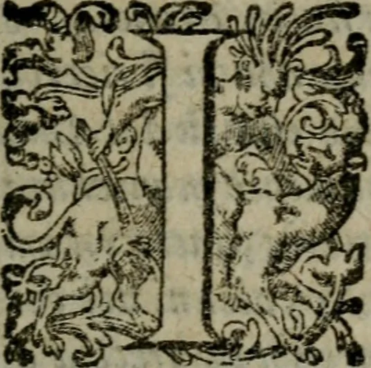 An illustration from I capitani. Con alcuni discorsi curiosi, 1607, leaf 40