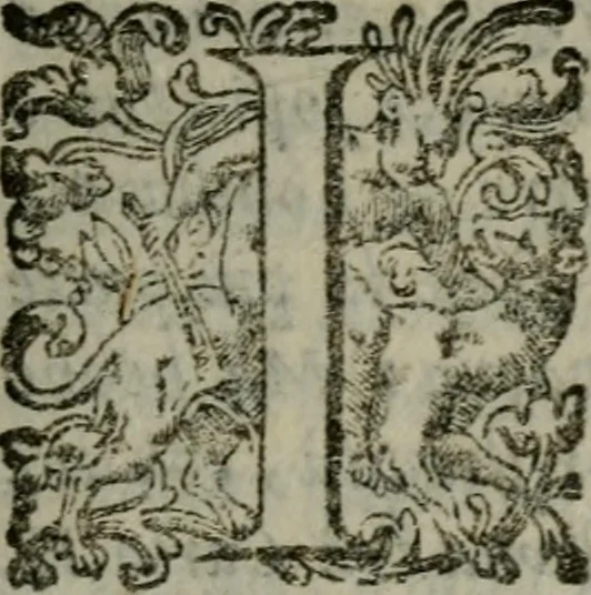 An illustration from I capitani. Con alcuni discorsi curiosi, 1607, leaf 78