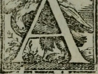 An illustration from I carichi militari di frà Lelio Brancaccio .., 1620, leaf 11