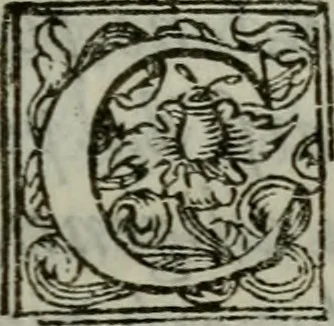 An illustration from I carichi militari di frà Lelio Brancaccio .., 1620, leaf 116