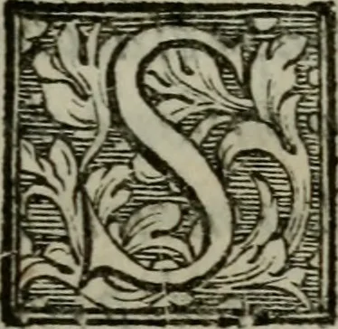 An illustration from I carichi militari di frà Lelio Brancaccio .., 1620, leaf 144