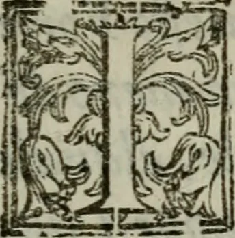 An illustration from I carichi militari di frà Lelio Brancaccio .., 1620, leaf 244