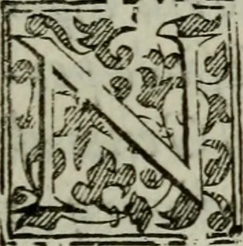 An illustration from I carichi militari di frà Lelio Brancaccio .., 1620, leaf 246