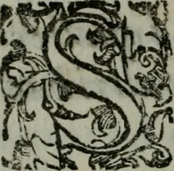 An illustration from I carichi militari di frà Lelio Brancaccio .., 1620, leaf 253