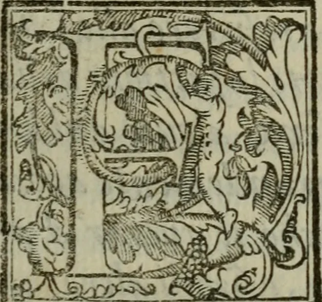 An illustration from I carichi militari di frà Lelio Brancaccio .., 1620, leaf 26