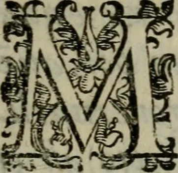 An illustration from I carichi militari di frà Lelio Brancaccio .., 1620, leaf 282