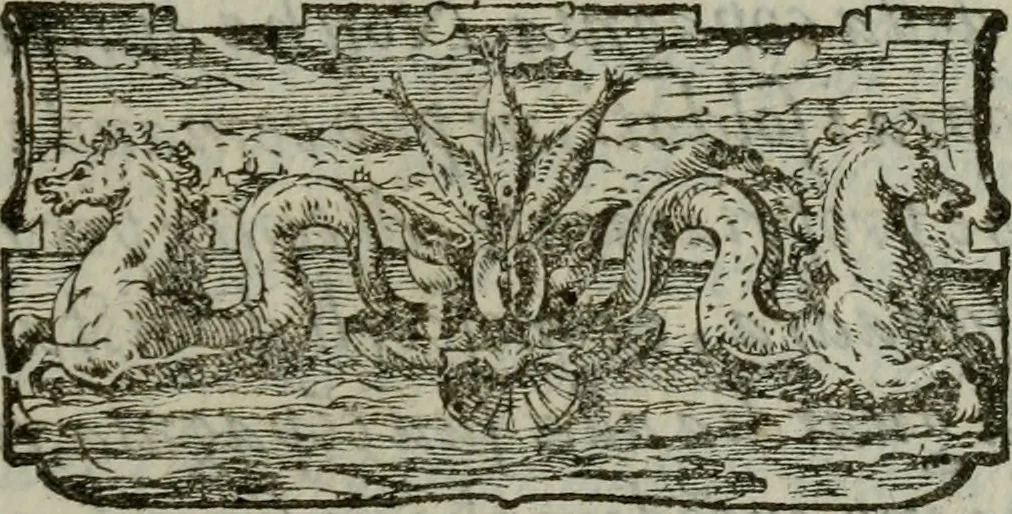 An illustration from I carichi militari di frà Lelio Brancaccio .., 1620, leaf 40