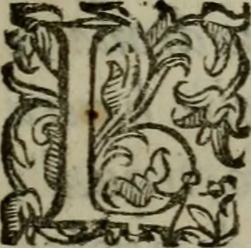 An illustration from I carichi militari di frà Lelio Brancaccio .., 1620, leaf 56