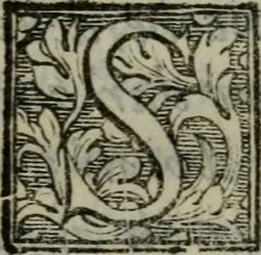 An illustration from I carichi militari di frà Lelio Brancaccio .., 1620, leaf 62