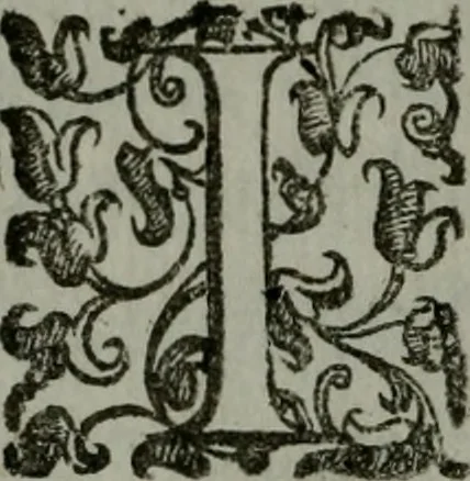 An illustration from I carichi militari di frà Lelio Brancaccio .., 1620, leaf 7