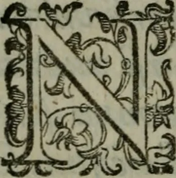 An illustration from I carichi militari di frà Lelio Brancaccio .., 1620, leaf 75