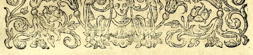 An illustration from I carichi militari, 1610, leaf 117