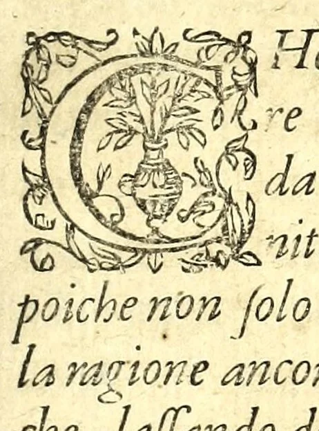 An illustration from I carichi militari, 1610, leaf 117