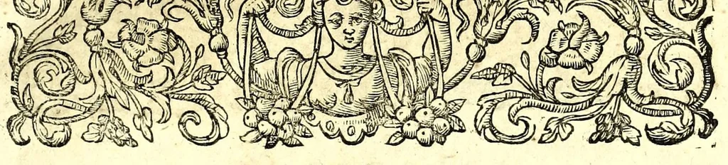 An illustration from I carichi militari, 1610, leaf 13