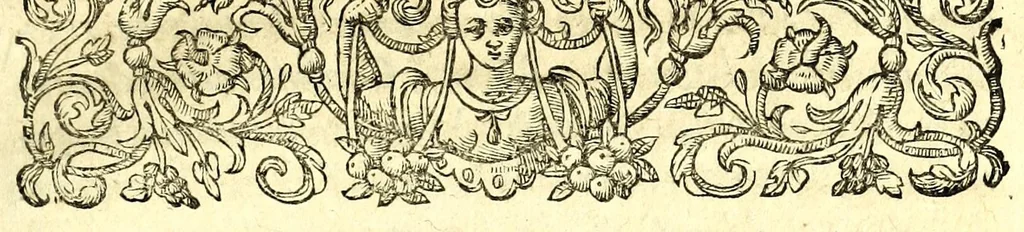 An illustration from I carichi militari, 1610, leaf 237