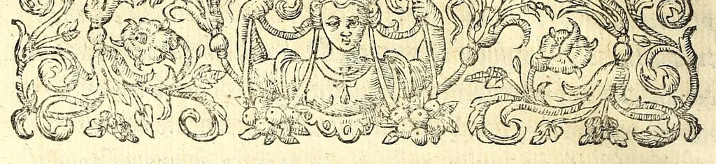 An illustration from I carichi militari, 1610, leaf 250