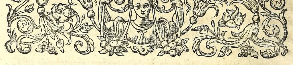 An illustration from I carichi militari, 1610, leaf 252