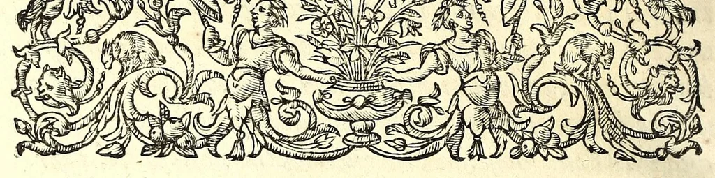 An illustration from I carichi militari, 1610, leaf 262