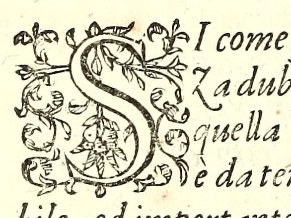 An illustration from I carichi militari, 1610, leaf 262
