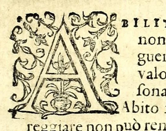 An illustration from I carichi militari, 1610, leaf 303