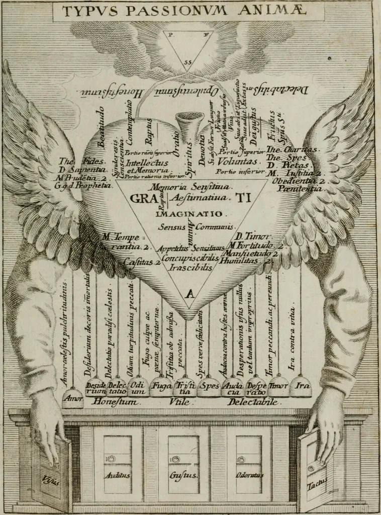 An illustration from Ichnographia emblematica triplicis ad Deum Tri-unum mysticae viae, purgativae, illuminativae, unitivae : splendoribus sanctorum, virtutibus eorum, divinisque charismatibus illustrata, in quinque partes divisa ..., 1779, leaf 144