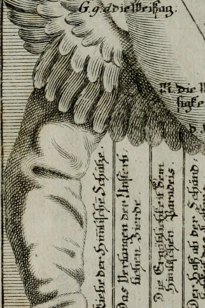 An illustration from Ichnographia emblematica triplicis ad Deum Tri-unum mysticae viae, purgativae, illuminativae, unitivae : splendoribus sanctorum, virtutibus eorum, divinisque charismatibus illustrata, in quinque partes divisa ..., 1779, leaf 147