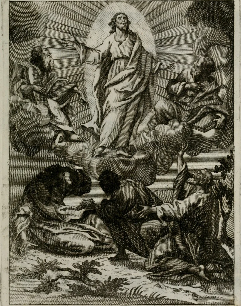 An illustration from Ichnographia emblematica triplicis ad Deum Tri-unum mysticae viae, purgativae, illuminativae, unitivae : splendoribus sanctorum, virtutibus eorum, divinisque charismatibus illustrata, in quinque partes divisa ..., 1779, leaf 190