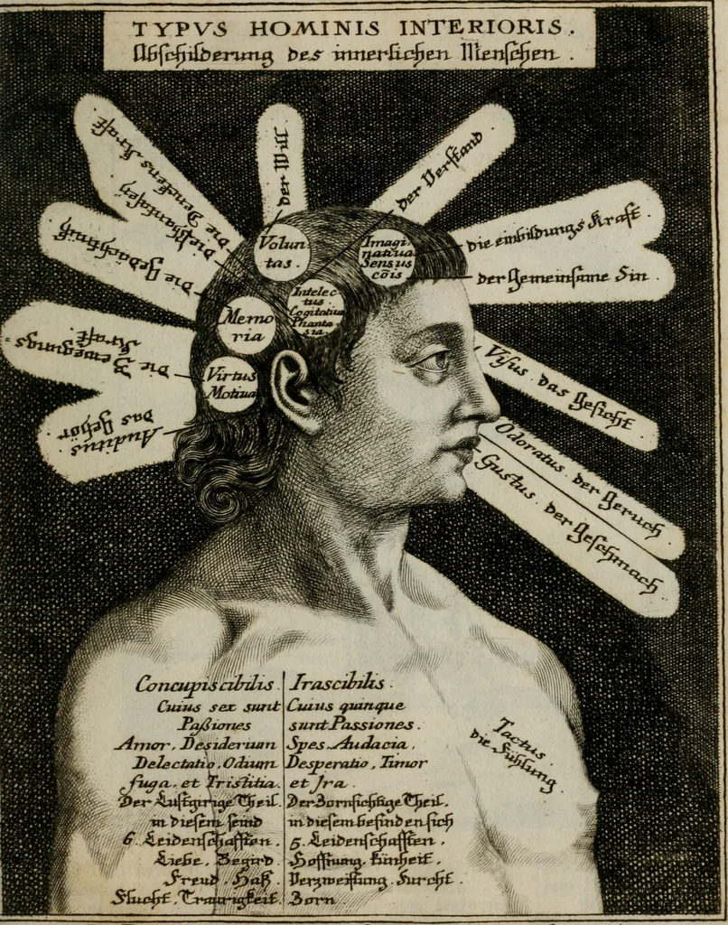 An illustration from Ichnographia emblematica triplicis ad Deum Tri-unum mysticae viae, purgativae, illuminativae, unitivae : splendoribus sanctorum, virtutibus eorum, divinisque charismatibus illustrata, in quinque partes divisa ..., 1779, leaf 22