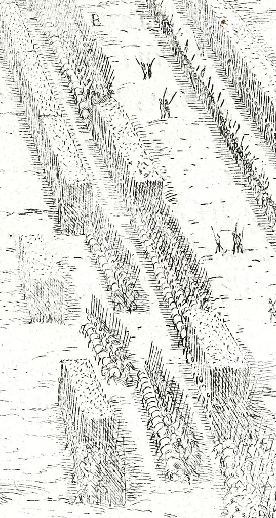 An illustration from I commentari di C. Givlio Cesare : con le figvre in rame de gli alloggiamenti, de' fatti d'arme, delle circonuallationi delle città, & di molte altre cose notabili descritte in essi, 1598, leaf 543