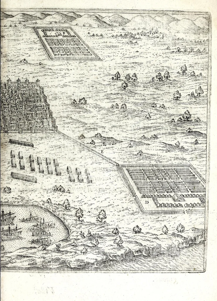 An illustration from I commentari di C. Givlio Cesare : con le figvre in rame de gli alloggiamenti, de' fatti d'arme, delle circonuallationi delle città, & di molte altre cose notabili descritte in essi, 1598, leaf 561