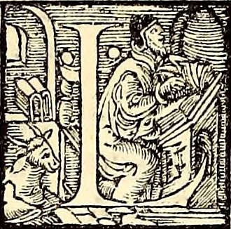An illustration from Icones animalium quadrupedum uiuiparorum et ouiparorum : quae in Historiae animalium Conradi Gesneri libro I. et II. describuntur, cum nomenclaturis singulorum latinis, graecis, italicis, gallicis, et germanicis plerunque, et aliarum quoque linguarum, certis ordinibus digestae, 1560, leaf 143
