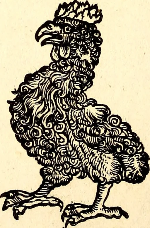 An illustration from Icones animalium quadrupedum uiuiparorum et ouiparorum : quae in Historiae animalium Conradi Gesneri libro I. et II. describuntur, cum nomenclaturis singulorum latinis, graecis, italicis, gallicis, et germanicis plerunque, et aliarum quoque linguarum, certis ordinibus digestae, 1560, leaf 199