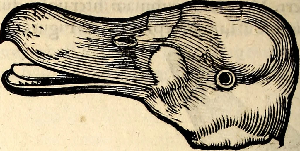 An illustration from Icones animalium quadrupedum uiuiparorum et ouiparorum : quae in Historiae animalium Conradi Gesneri libro I. et II. describuntur, cum nomenclaturis singulorum latinis, graecis, italicis, gallicis, et germanicis plerunque, et aliarum quoque linguarum, certis ordinibus digestae, 1560, leaf 225