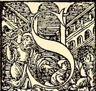 An illustration from Icones animalium quadrupedum uiuiparorum et ouiparorum : quae in Historiae animalium Conradi Gesneri libro I. et II. describuntur, cum nomenclaturis singulorum latinis, graecis, italicis, gallicis, et germanicis plerunque, et aliarum quoque linguarum, certis ordinibus digestae, 1560, leaf 273