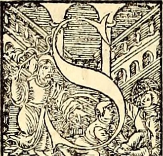 An illustration from Icones animalium quadrupedum uiuiparorum et ouiparorum : quae in Historiae animalium Conradi Gesneri libro I. et II. describuntur, cum nomenclaturis singulorum latinis, graecis, italicis, gallicis, et germanicis plerunque, et aliarum quoque linguarum, certis ordinibus digestae, 1560, leaf 333