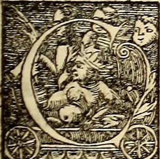 An illustration from Icones animalium quadrupedum uiuiparorum et ouiparorum : quae in Historiae animalium Conradi Gesneri libro I. et II. describuntur, cum nomenclaturis singulorum latinis, graecis, italicis, gallicis, et germanicis plerunque, et aliarum quoque linguarum, certis ordinibus digestae, 1560, leaf 352