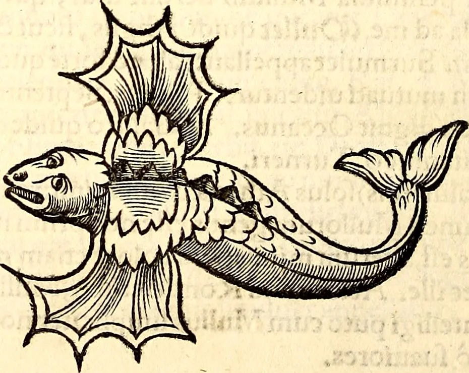 An illustration from Icones animalium quadrupedum uiuiparorum et ouiparorum : quae in Historiae animalium Conradi Gesneri libro I. et II. describuntur, cum nomenclaturis singulorum latinis, graecis, italicis, gallicis, et germanicis plerunque, et aliarum quoque linguarum, certis ordinibus digestae, 1560, leaf 361