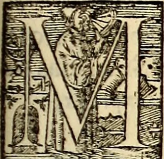 An illustration from Icones animalium quadrupedum uiuiparorum et ouiparorum : quae in Historiae animalium Conradi Gesneri libro I. et II. describuntur, cum nomenclaturis singulorum latinis, graecis, italicis, gallicis, et germanicis plerunque, et aliarum quoque linguarum, certis ordinibus digestae, 1560, leaf 386