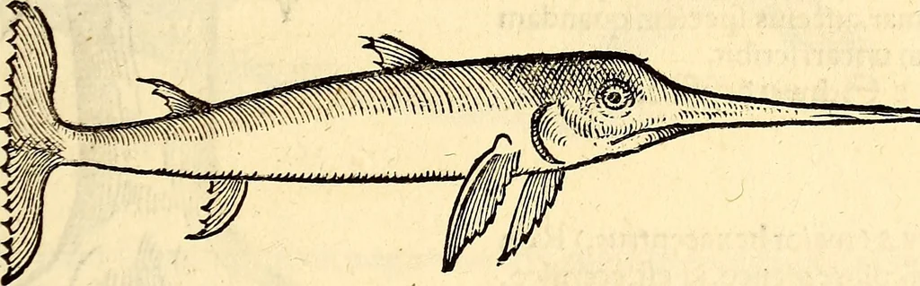 An illustration from Icones animalium quadrupedum uiuiparorum et ouiparorum : quae in Historiae animalium Conradi Gesneri libro I. et II. describuntur, cum nomenclaturis singulorum latinis, graecis, italicis, gallicis, et germanicis plerunque, et aliarum quoque linguarum, certis ordinibus digestae, 1560, leaf 434