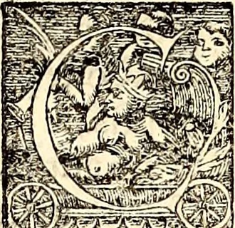 An illustration from Icones animalium quadrupedum uiuiparorum et ouiparorum : quae in Historiae animalium Conradi Gesneri libro I. et II. describuntur, cum nomenclaturis singulorum latinis, graecis, italicis, gallicis, et germanicis plerunque, et aliarum quoque linguarum, certis ordinibus digestae, 1560, leaf 481