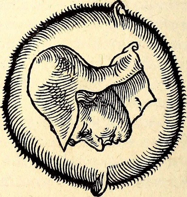 An illustration from Icones animalium quadrupedum uiuiparorum et ouiparorum : quae in Historiae animalium Conradi Gesneri libro I. et II. describuntur, cum nomenclaturis singulorum latinis, graecis, italicis, gallicis, et germanicis plerunque, et aliarum quoque linguarum, certis ordinibus digestae, 1560, leaf 483