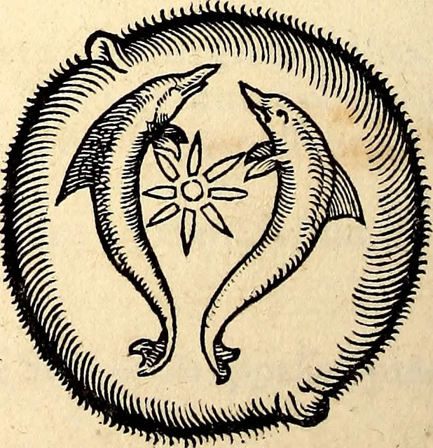 An illustration from Icones animalium quadrupedum uiuiparorum et ouiparorum : quae in Historiae animalium Conradi Gesneri libro I. et II. describuntur, cum nomenclaturis singulorum latinis, graecis, italicis, gallicis, et germanicis plerunque, et aliarum quoque linguarum, certis ordinibus digestae, 1560, leaf 483