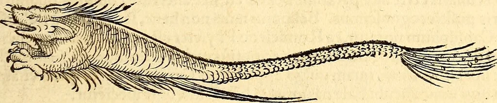 An illustration from Icones animalium quadrupedum uiuiparorum et ouiparorum : quae in Historiae animalium Conradi Gesneri libro I. et II. describuntur, cum nomenclaturis singulorum latinis, graecis, italicis, gallicis, et germanicis plerunque, et aliarum quoque linguarum, certis ordinibus digestae, 1560, leaf 486