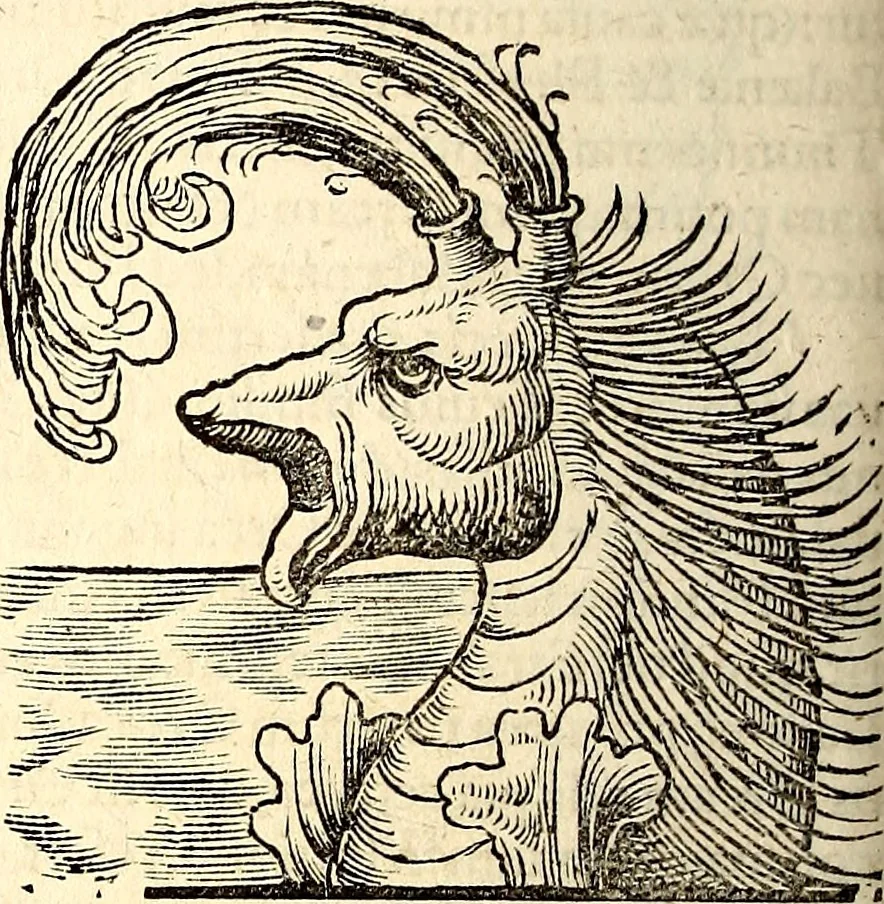 An illustration from Icones animalium quadrupedum uiuiparorum et ouiparorum : quae in Historiae animalium Conradi Gesneri libro I. et II. describuntur, cum nomenclaturis singulorum latinis, graecis, italicis, gallicis, et germanicis plerunque, et aliarum quoque linguarum, certis ordinibus digestae, 1560, leaf 491