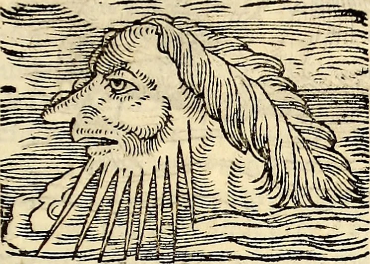An illustration from Icones animalium quadrupedum uiuiparorum et ouiparorum : quae in Historiae animalium Conradi Gesneri libro I. et II. describuntur, cum nomenclaturis singulorum latinis, graecis, italicis, gallicis, et germanicis plerunque, et aliarum quoque linguarum, certis ordinibus digestae, 1560, leaf 502