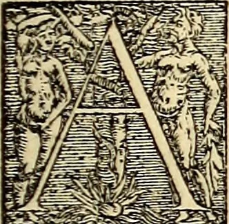 An illustration from Icones animalium quadrupedum uiuiparorum et ouiparorum : quae in Historiae animalium Conradi Gesneri libro I. et II. describuntur, cum nomenclaturis singulorum latinis, graecis, italicis, gallicis, et germanicis plerunque, et aliarum quoque linguarum, certis ordinibus digestae, 1560, leaf 506