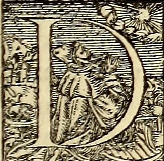 An illustration from Icones animalium quadrupedum uiuiparorum et ouiparorum : quae in Historiae animalium Conradi Gesneri libro I. et II. describuntur, cum nomenclaturis singulorum latinis, graecis, italicis, gallicis, et germanicis plerunque, et aliarum quoque linguarum, certis ordinibus digestae, 1560, leaf 542