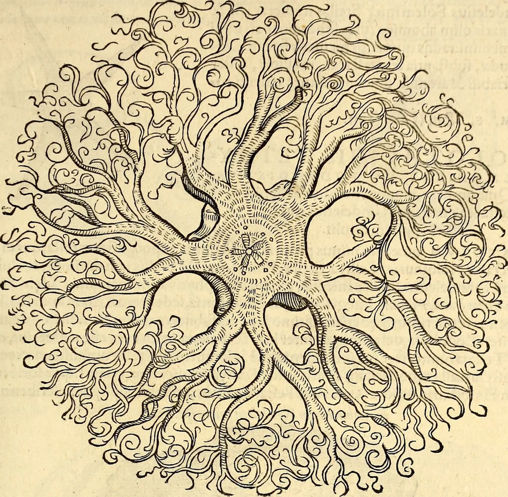 An illustration from Icones animalium quadrupedum uiuiparorum et ouiparorum : quae in Historiae animalium Conradi Gesneri libro I. et II. describuntur, cum nomenclaturis singulorum latinis, graecis, italicis, gallicis, et germanicis plerunque, et aliarum quoque linguarum, certis ordinibus digestae, 1560, leaf 582